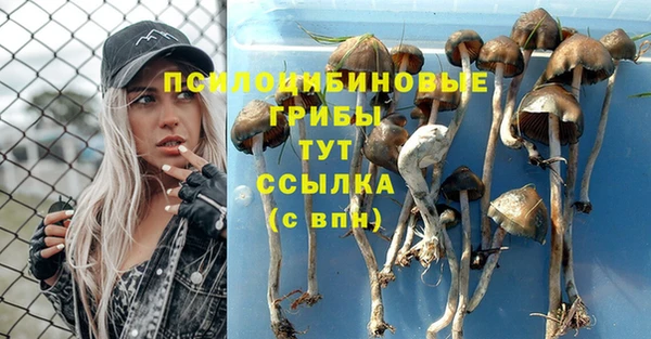 а пвп мука Лагань