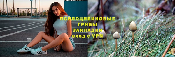 прущая мука Ладушкин