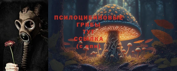 прущая мука Ладушкин