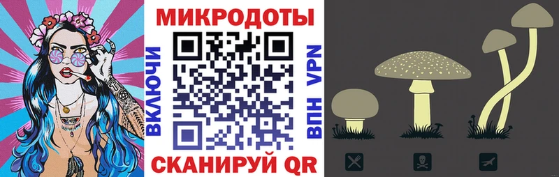 Купить  Пудож  Галлюциногенные грибы Magic Shrooms 