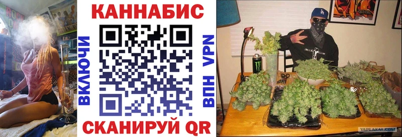 Каннабис Ganja Пудож